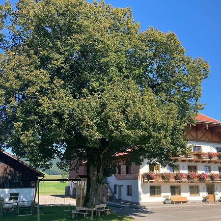 Biohof-Feichtinger Lägenhet Zell am Moos Exteriör bild