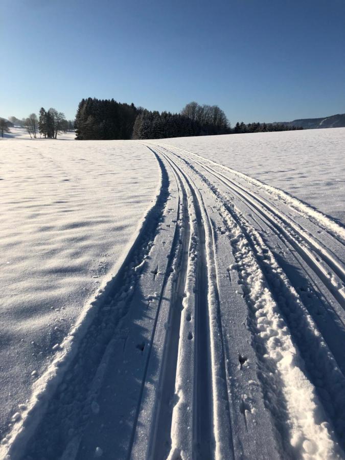 Biohof-Feichtinger Lägenhet Zell am Moos Exteriör bild