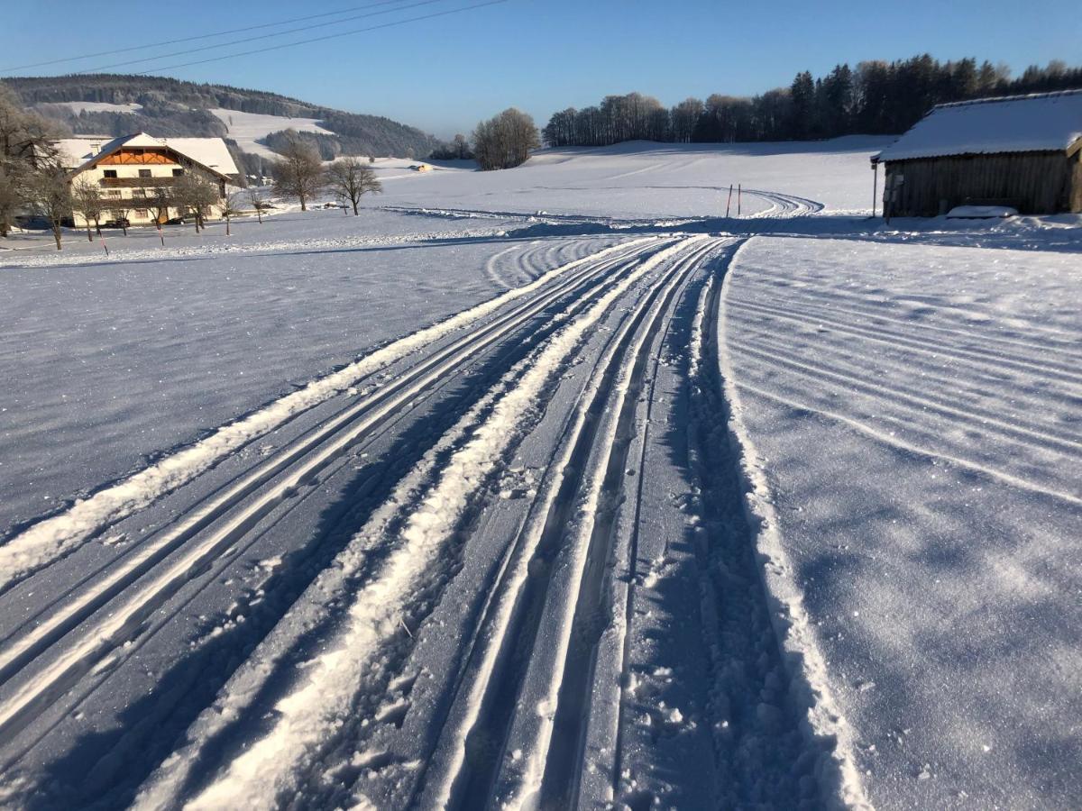 Biohof-Feichtinger Lägenhet Zell am Moos Exteriör bild