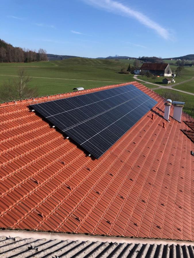 Biohof-Feichtinger Lägenhet Zell am Moos Exteriör bild