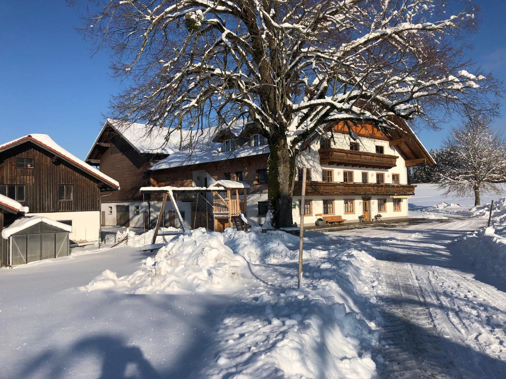 Biohof-Feichtinger Lägenhet Zell am Moos Exteriör bild