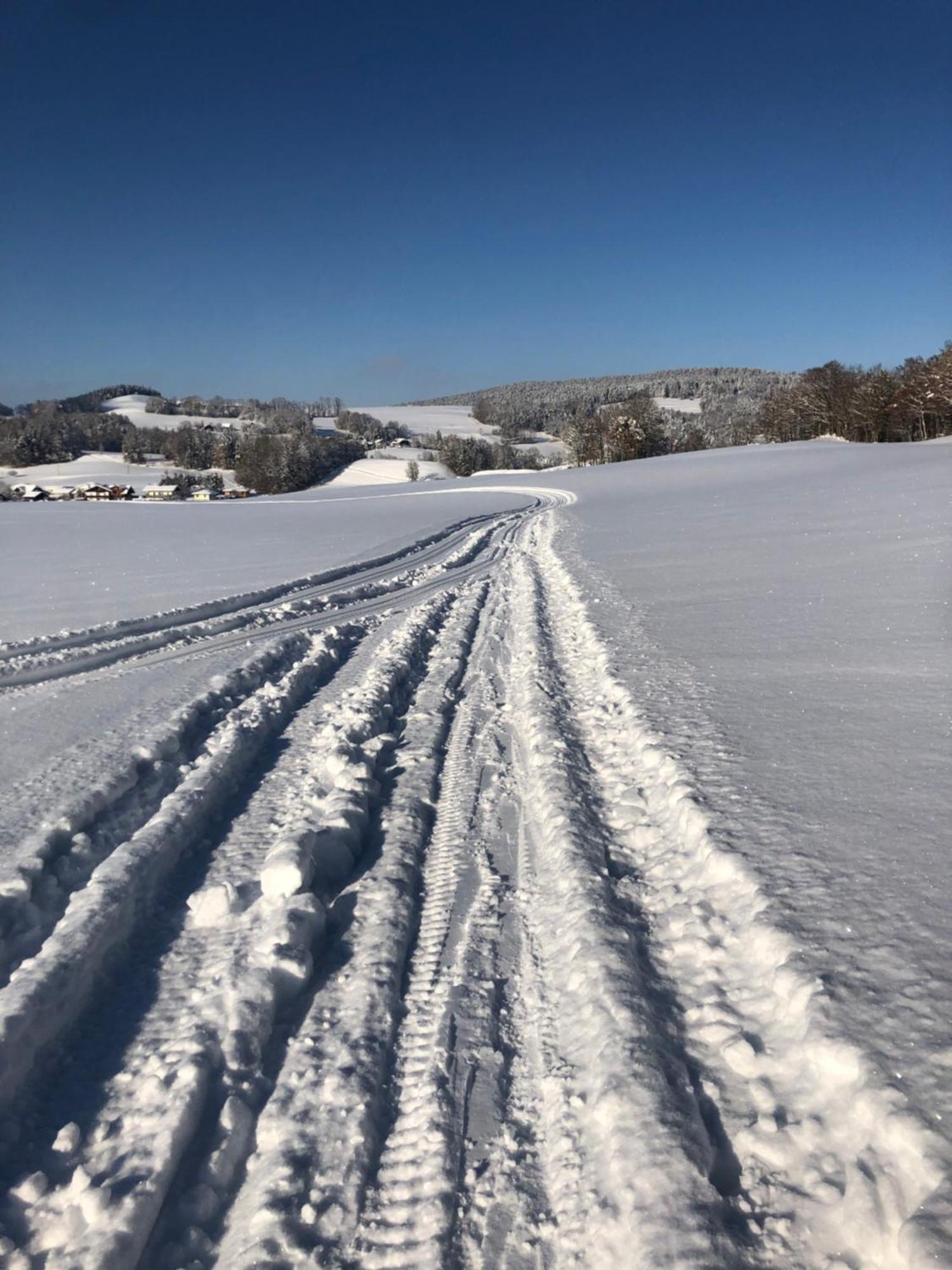 Biohof-Feichtinger Lägenhet Zell am Moos Exteriör bild