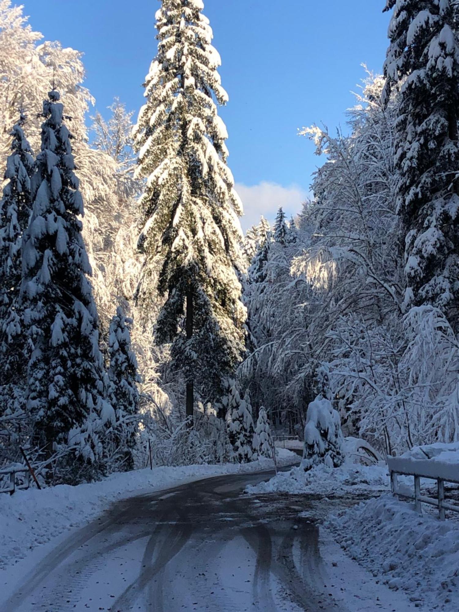 Biohof-Feichtinger Lägenhet Zell am Moos Exteriör bild