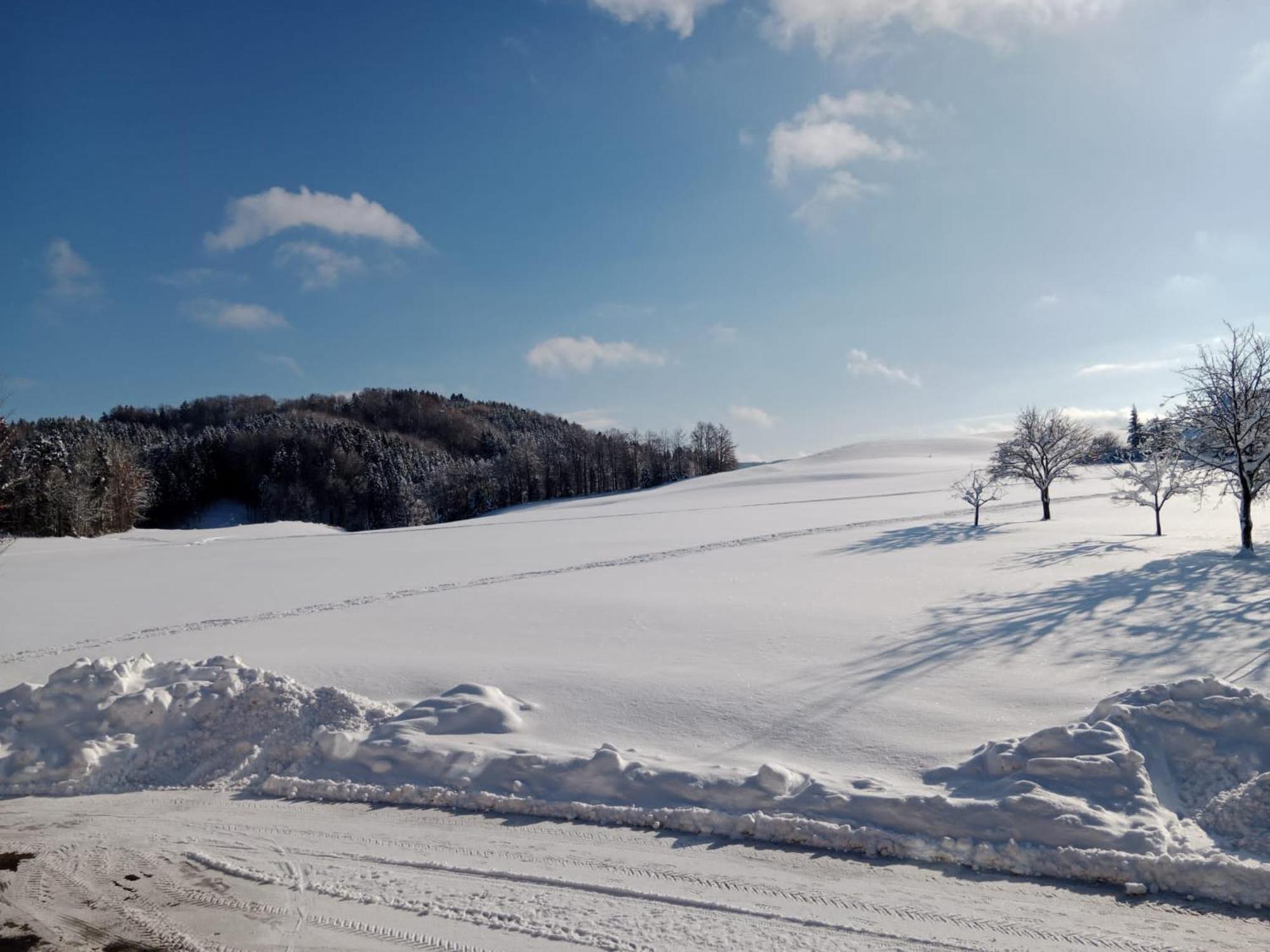 Biohof-Feichtinger Lägenhet Zell am Moos Exteriör bild