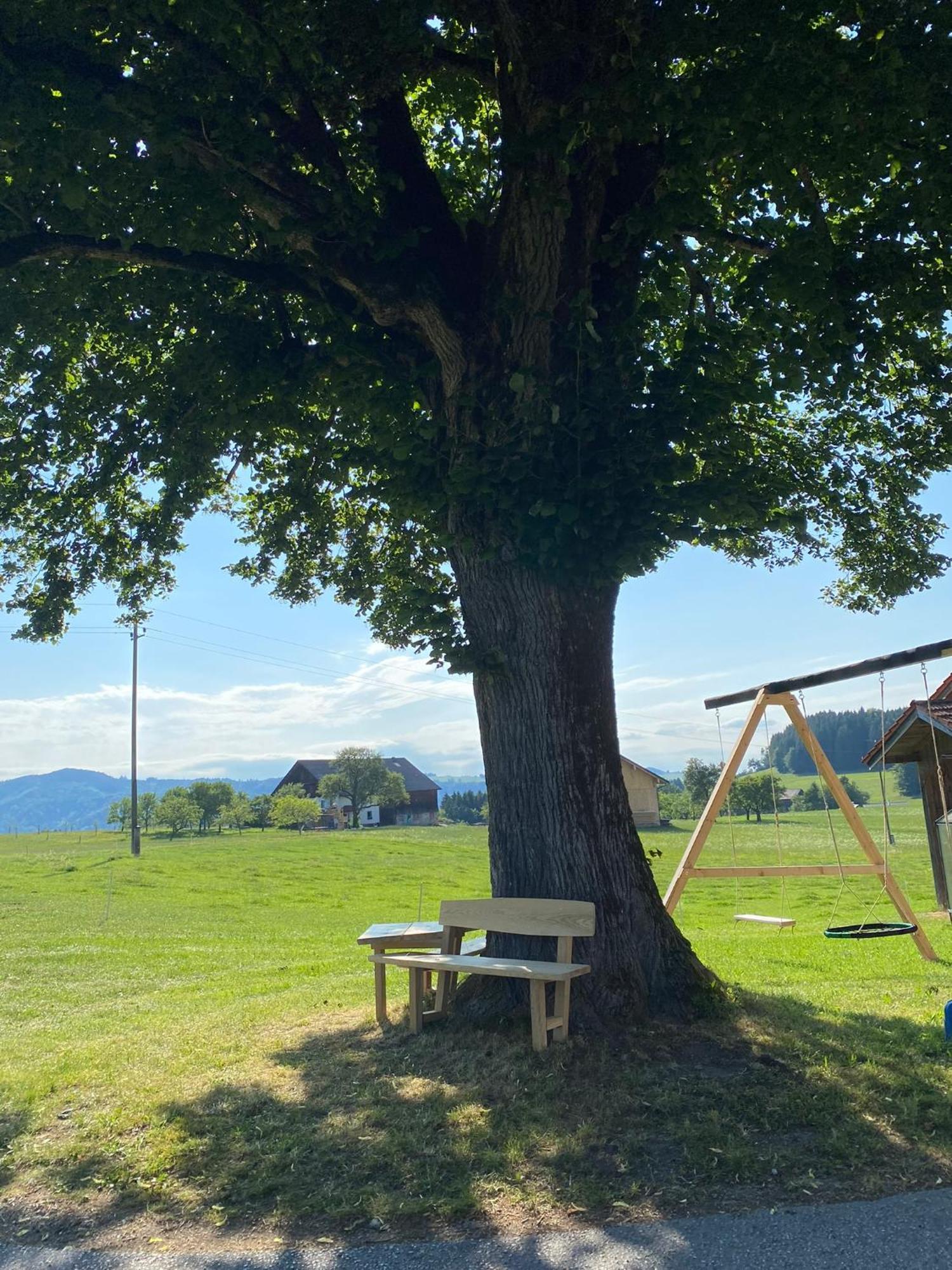 Biohof-Feichtinger Lägenhet Zell am Moos Exteriör bild