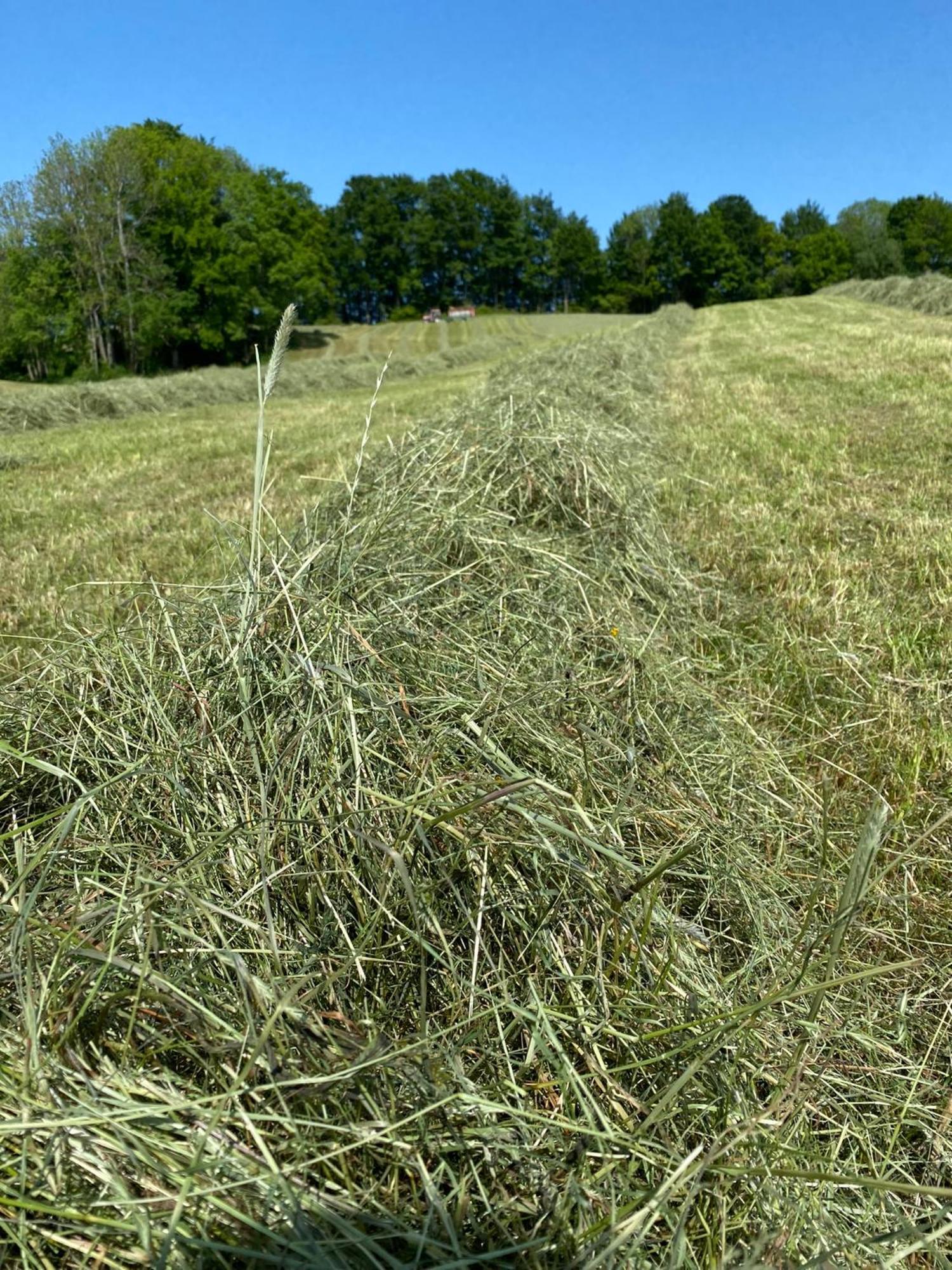 Biohof-Feichtinger Lägenhet Zell am Moos Exteriör bild